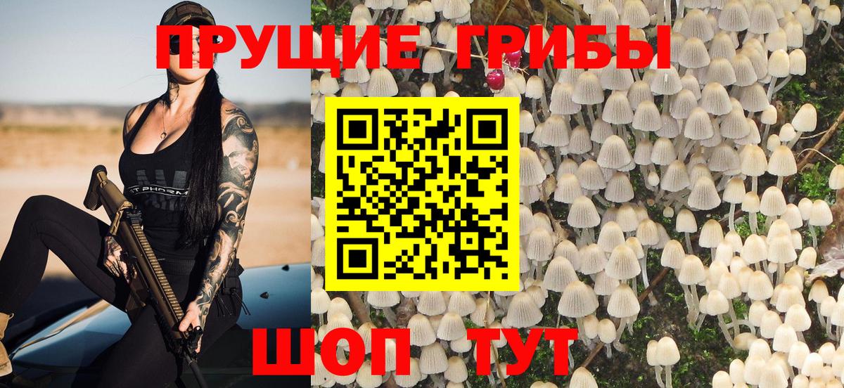 Псилоцибиновые грибы MAGIC MUSHROOMS  Вход с VPN  даркнет сайт  Александров 
