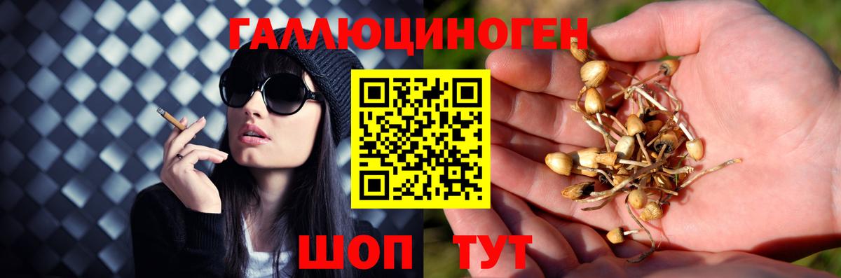 Псилоцибиновые грибы прущие грибы Александров